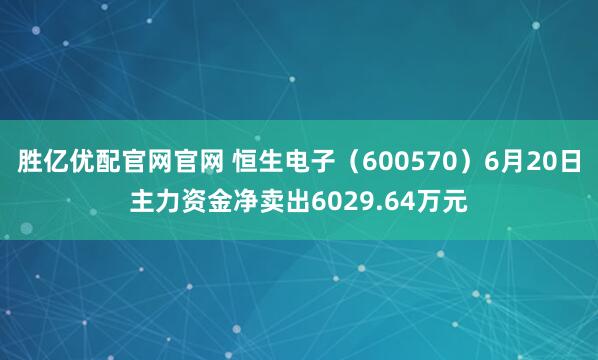胜亿优配官网官网 恒生电子（600570）6月20日主力资金净卖出6029.64万元